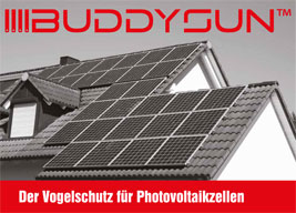 Ecobirds®